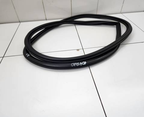 Уплотнитель проема задней левой двери для Geely Tugella (с 2019)