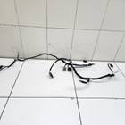 BNGLE100D81 Электропроводка для Jaecoo J8 (с 2024)