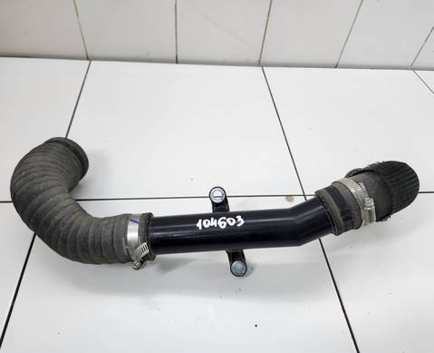 DAED138232 Патрубок для Jac T9 (с 2023)