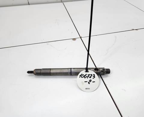 1100100XED95 Форсунка топливная для Great Wall Poer (с 2019)