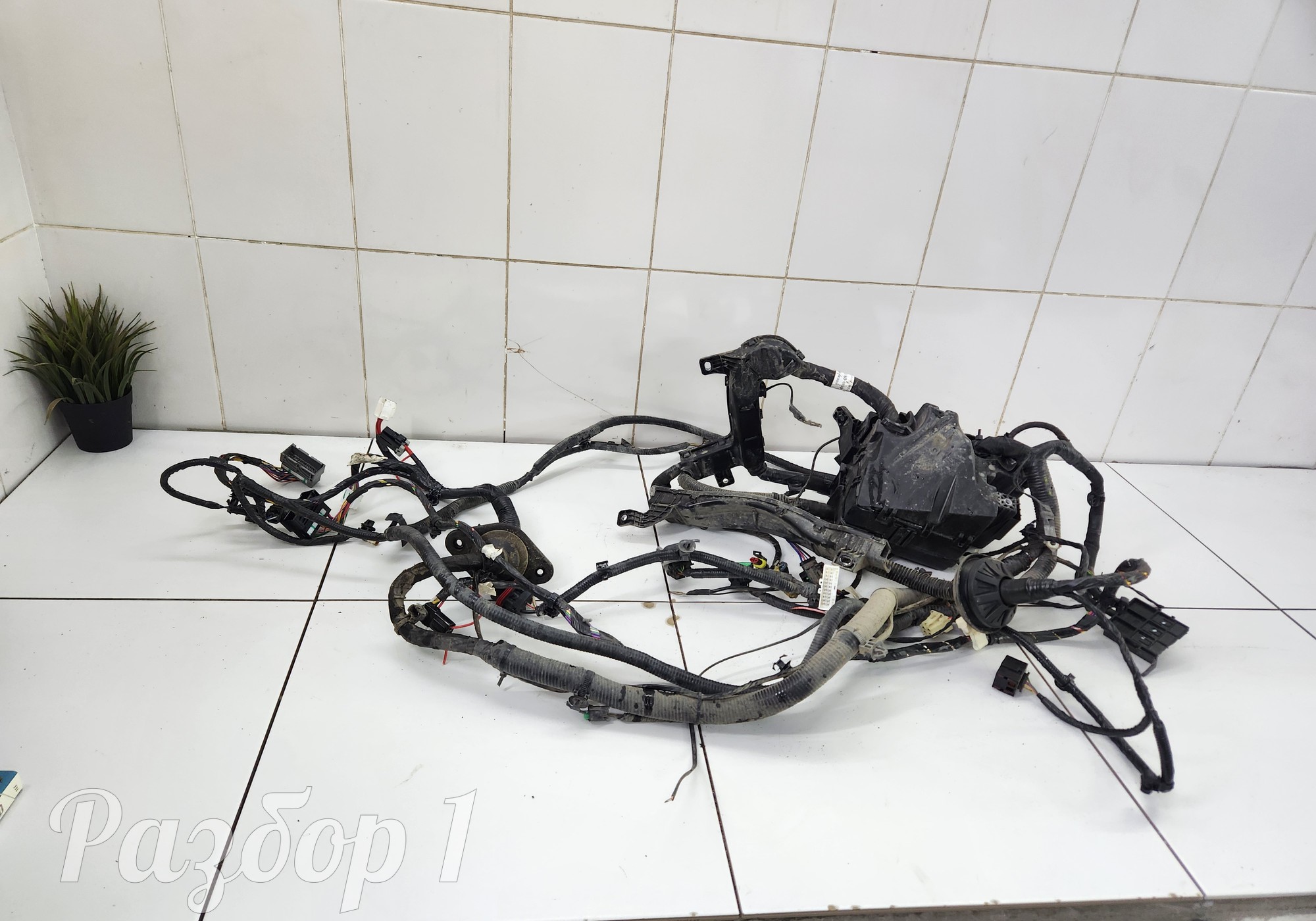 4000030BN103AA Электропроводка подкапотная для Changan Eado Plus (с 2020)