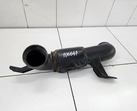 1132100XPW01B Патрубок для Great Wall Poer (с 2019)