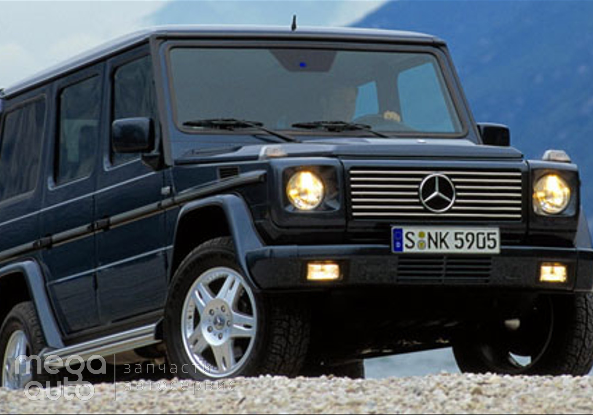Mercedes-Benz G-class W463 II 1999 г. в разборе