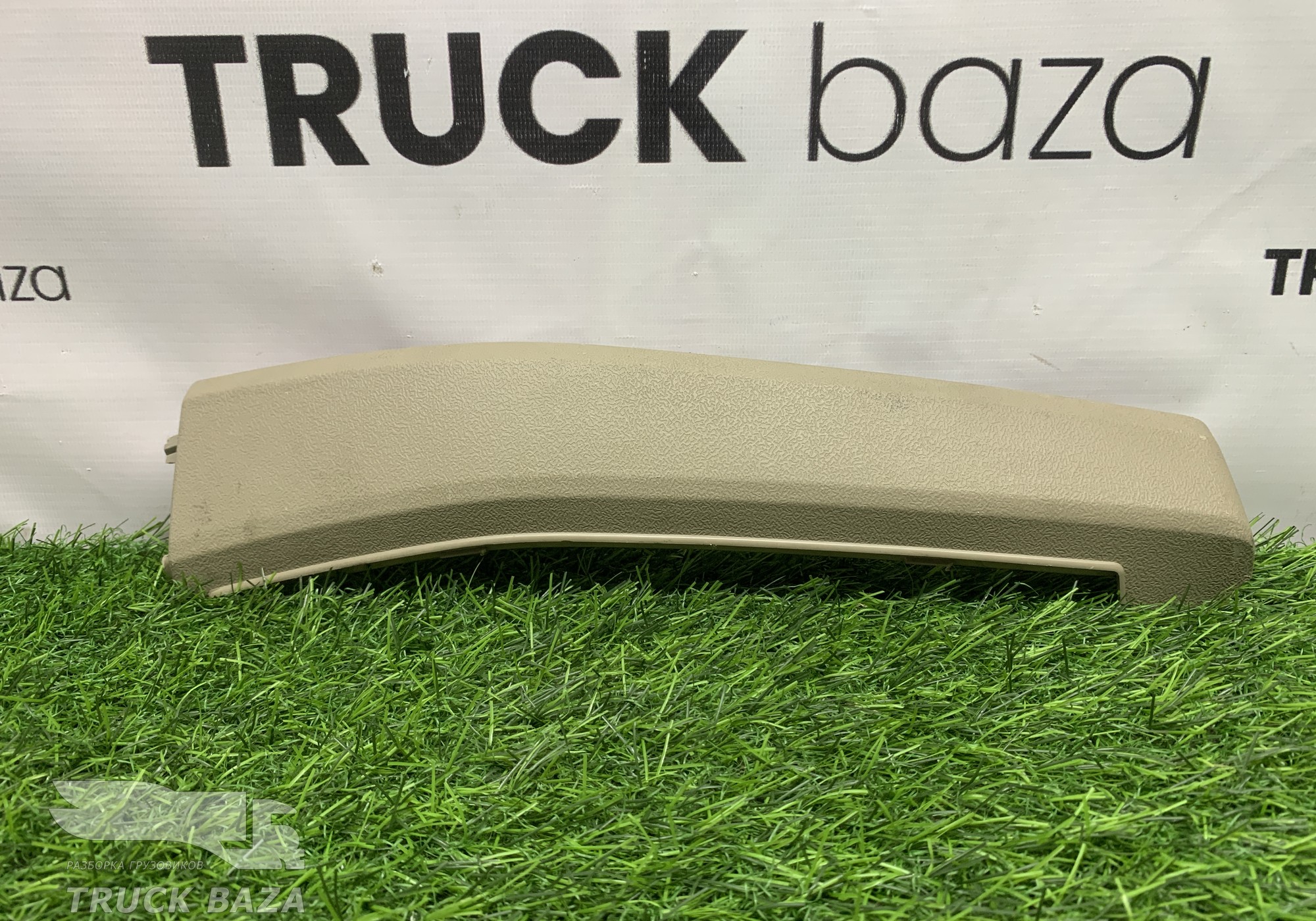 1766150 Накладка верхней консоли правая