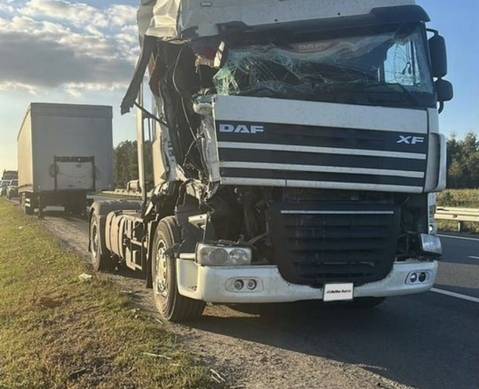 Daf XF105 2019 г. в разборе