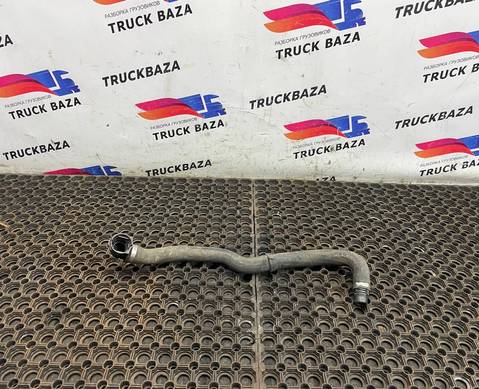 81063400402 Патрубок системы охлаждения для Man TGX TG3 (с 2020)