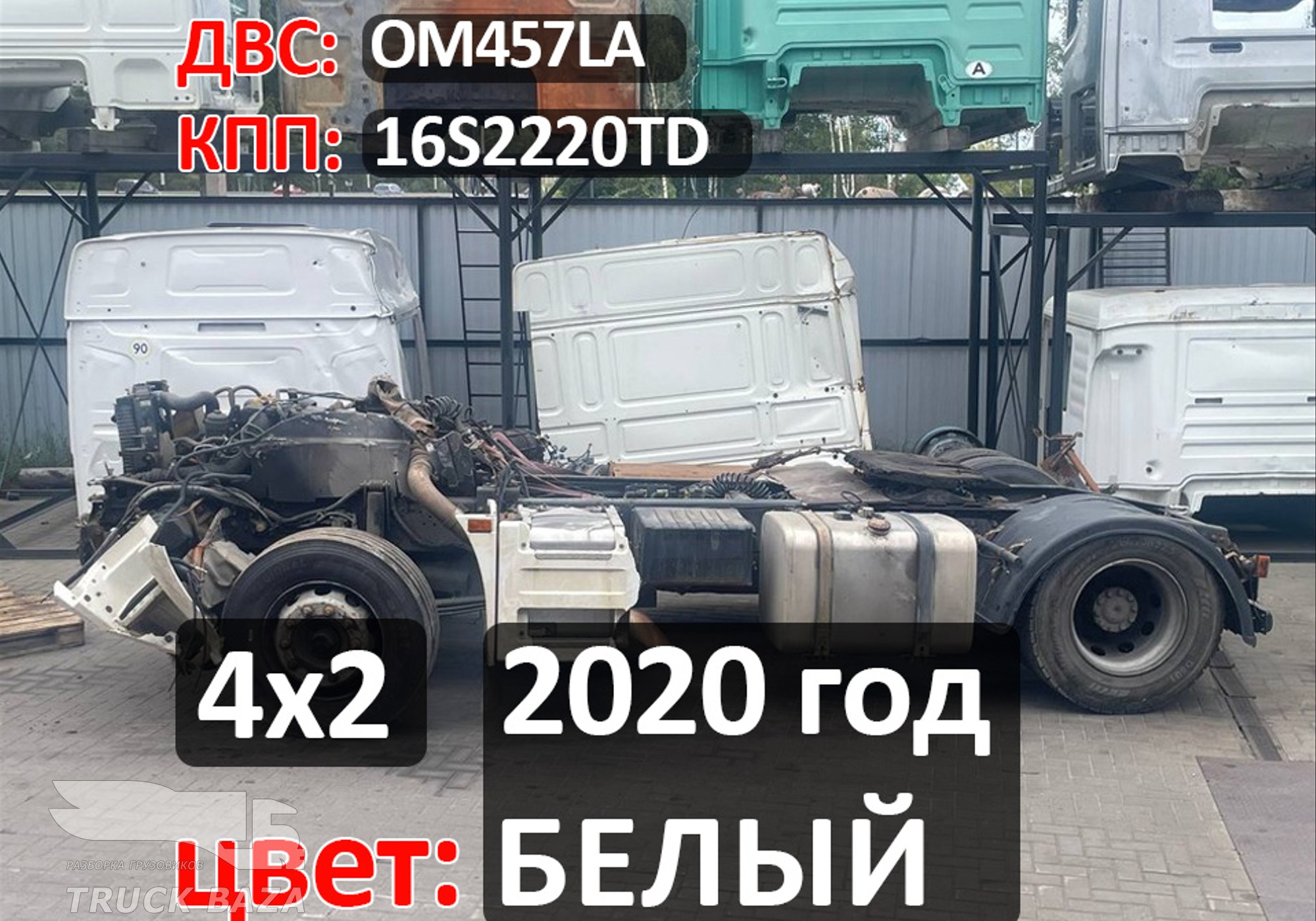 Рама с документами 2020 г. цвет Белый (цена неактуальна) для КАМАЗ 5490 (с 2013)