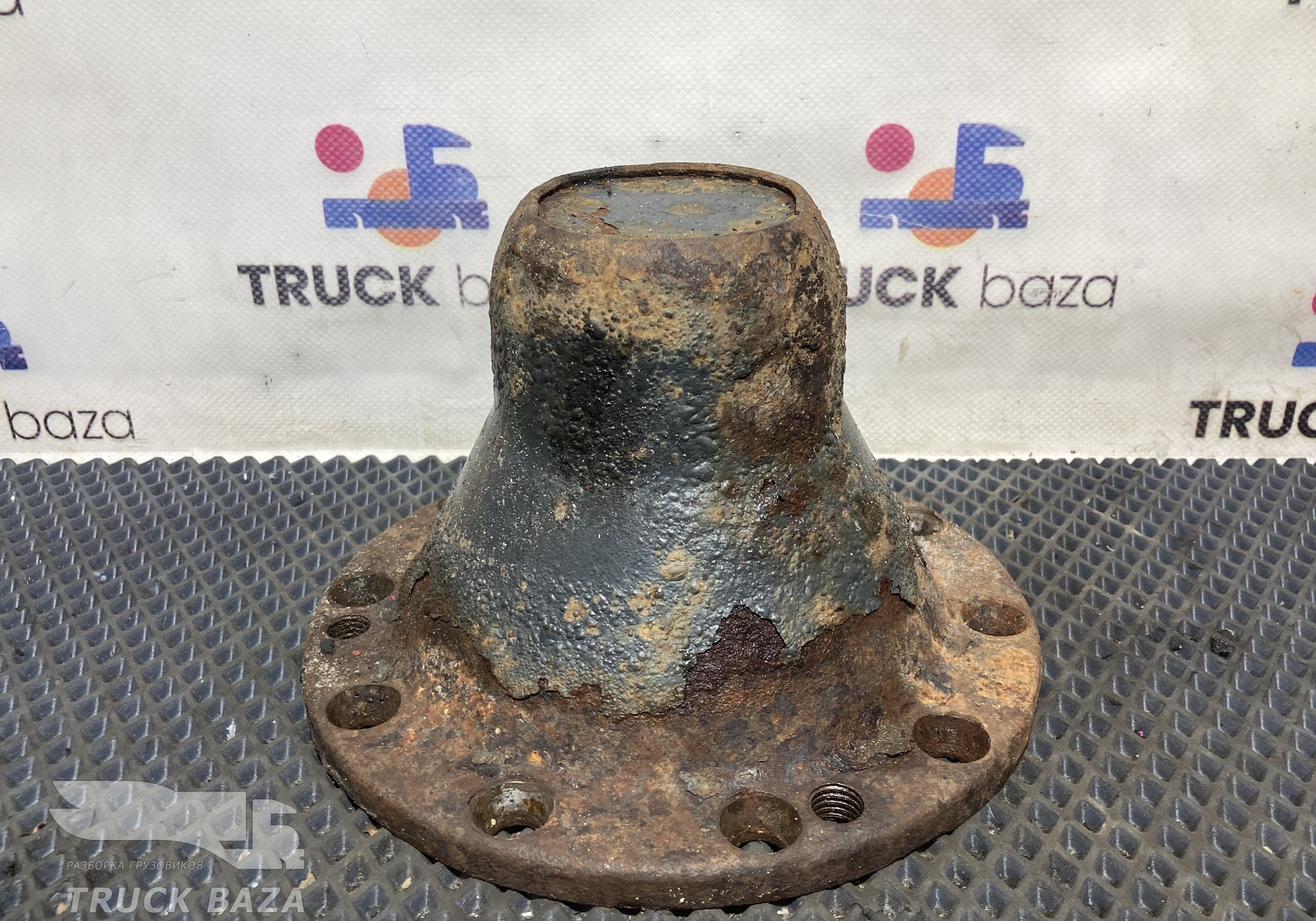 2437692 Крышка ступицы задней