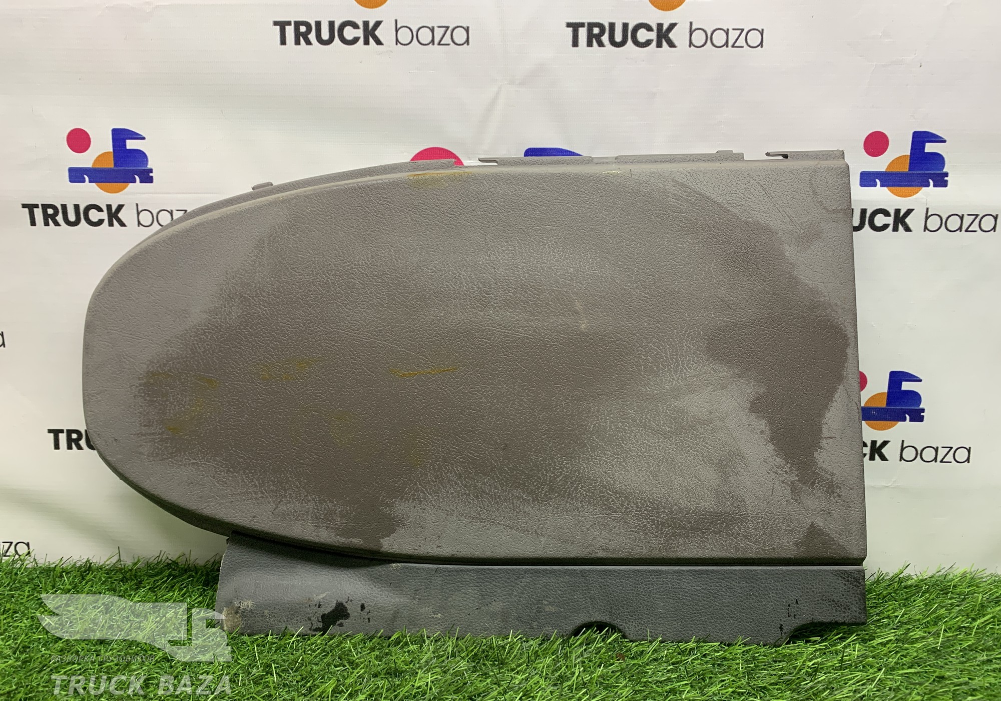 5010290339 Накладка декоративная для Renault Magnum III E-tech (с 2001 по 2005)