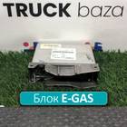 1349294 Блок управления E-GAS для Daf XF95 (с 2002 по 2006)