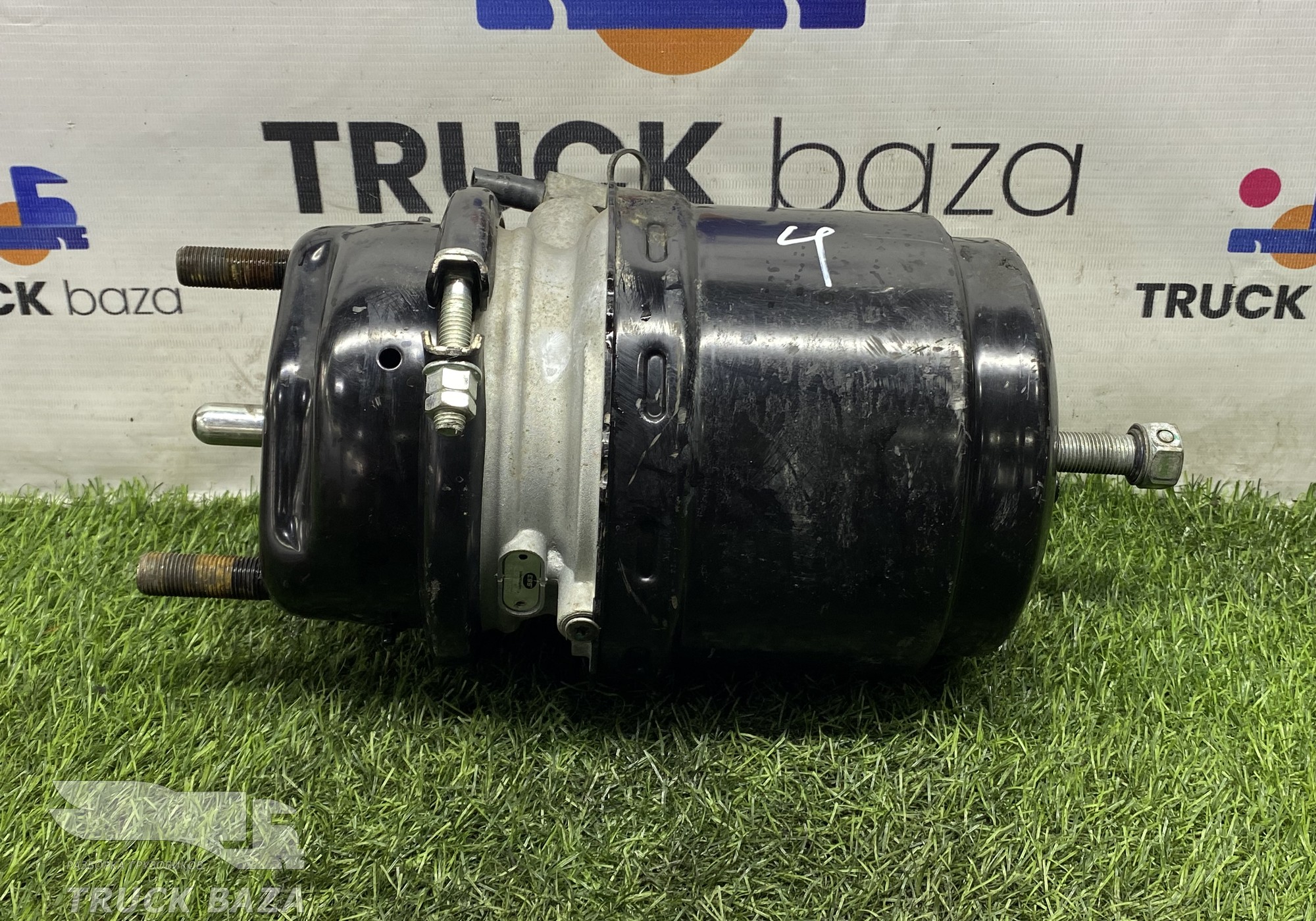 02062024004 Энергоаккумулятор тормозной задний