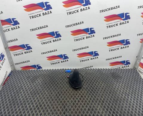 1972323 Антенна для Daf XF106 (с 2013 по 2023)