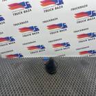 1972323 Антенна для Daf XF106 (с 2013 по 2023)