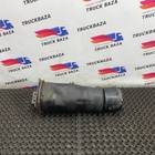 81436010151 Подушка пневматическая задняя для Man TGX TG3 (с 2020)