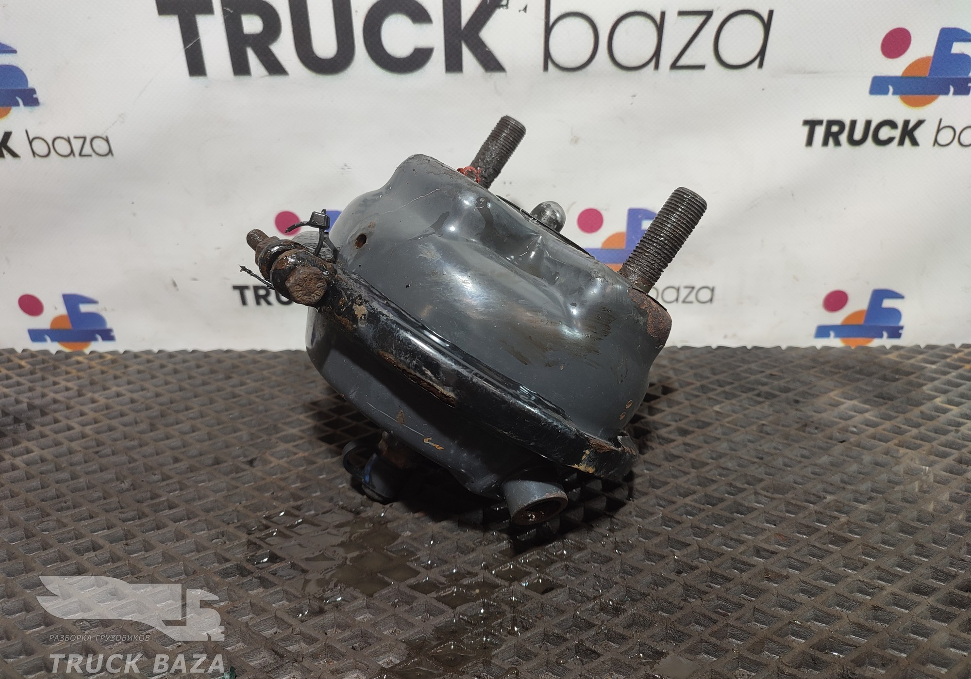 7420824261 Камера тормозная