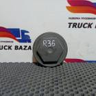 20740390 Крышка шкворня для Renault