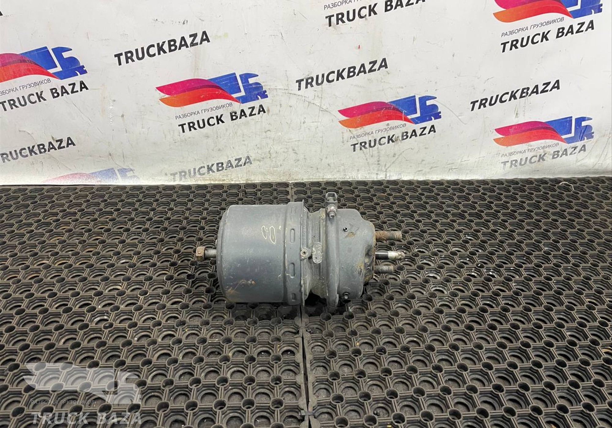 0194205518 Энергоаккумулятор тормозной для Mercedes-Benz Actros MP3 (с 2008)