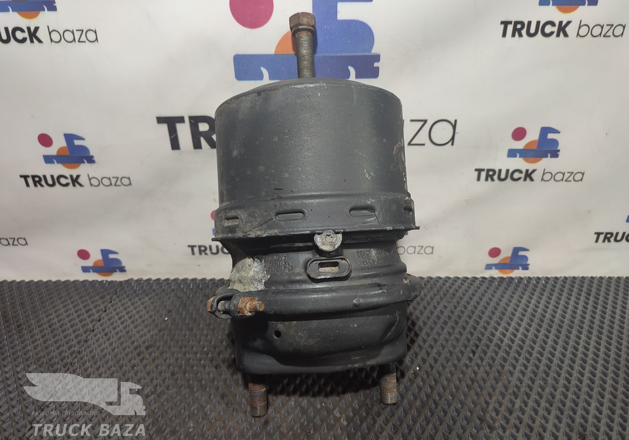 A0244200918 Энергоаккумулятор задний для КАМАЗ 5490 (с 2013)