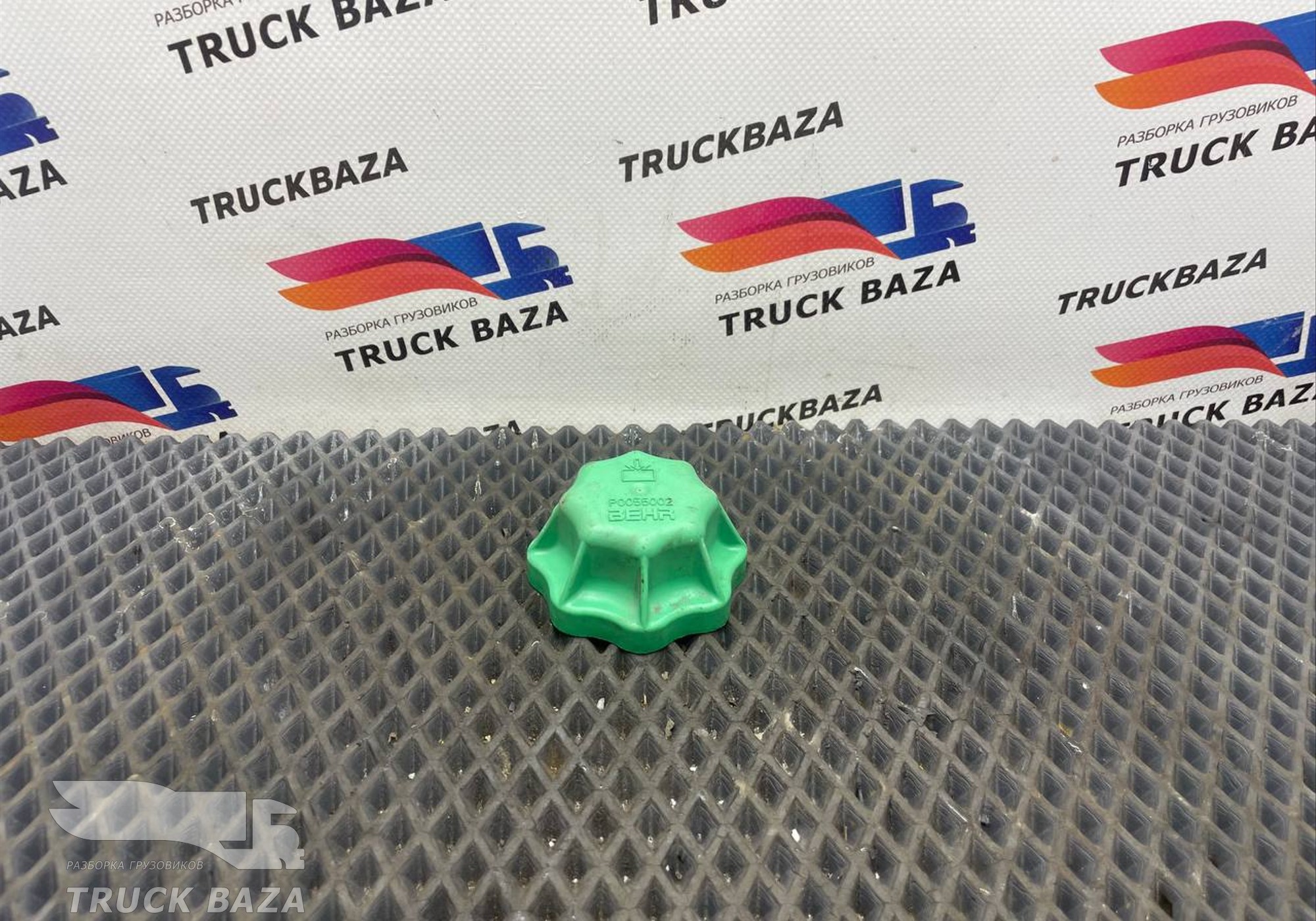 0055002 Крышка расширительного бачка для Mercedes-Benz Actros New Actros MP4 (с 2011)