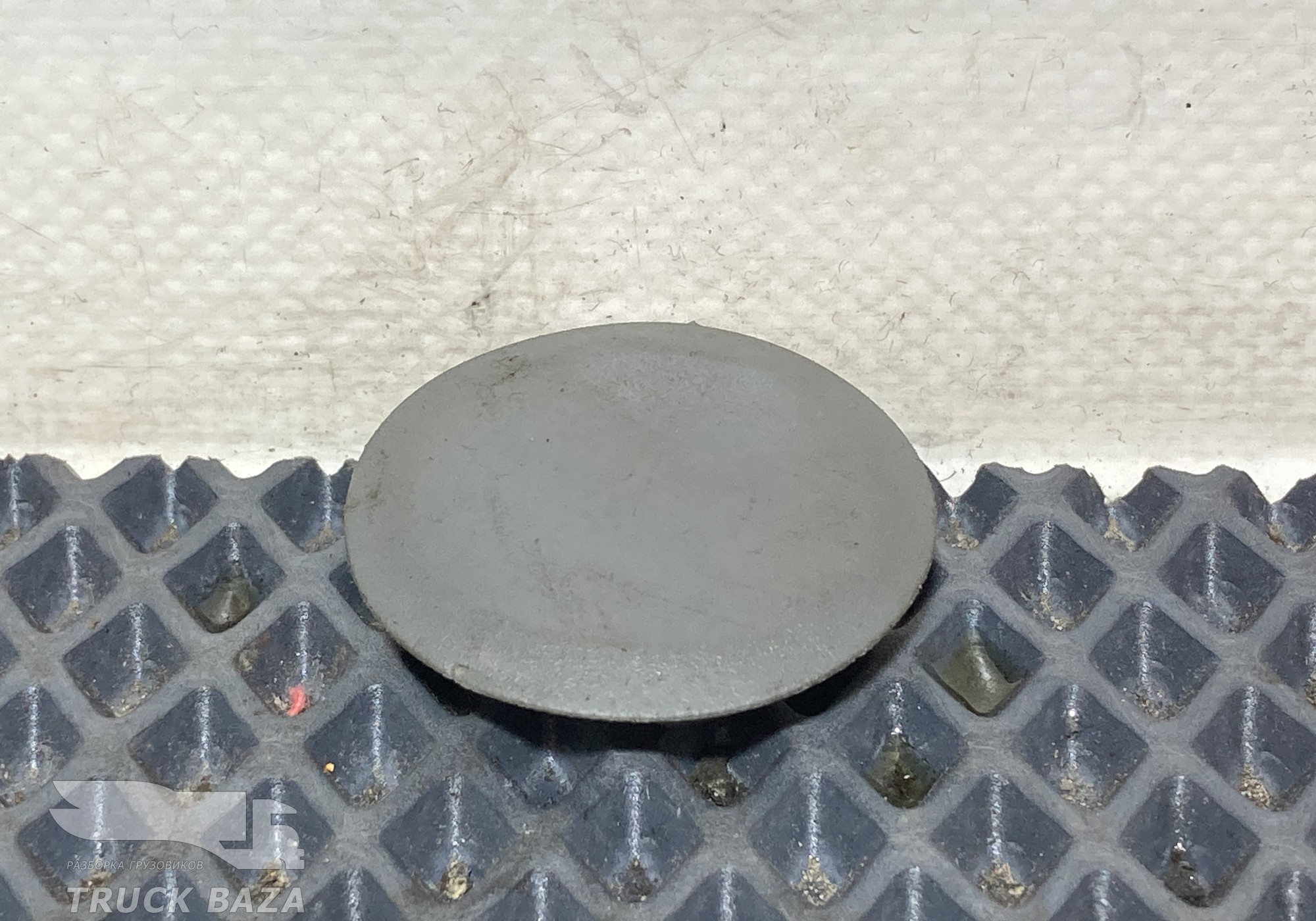 A9419970286 Заглушка корпуса подножки