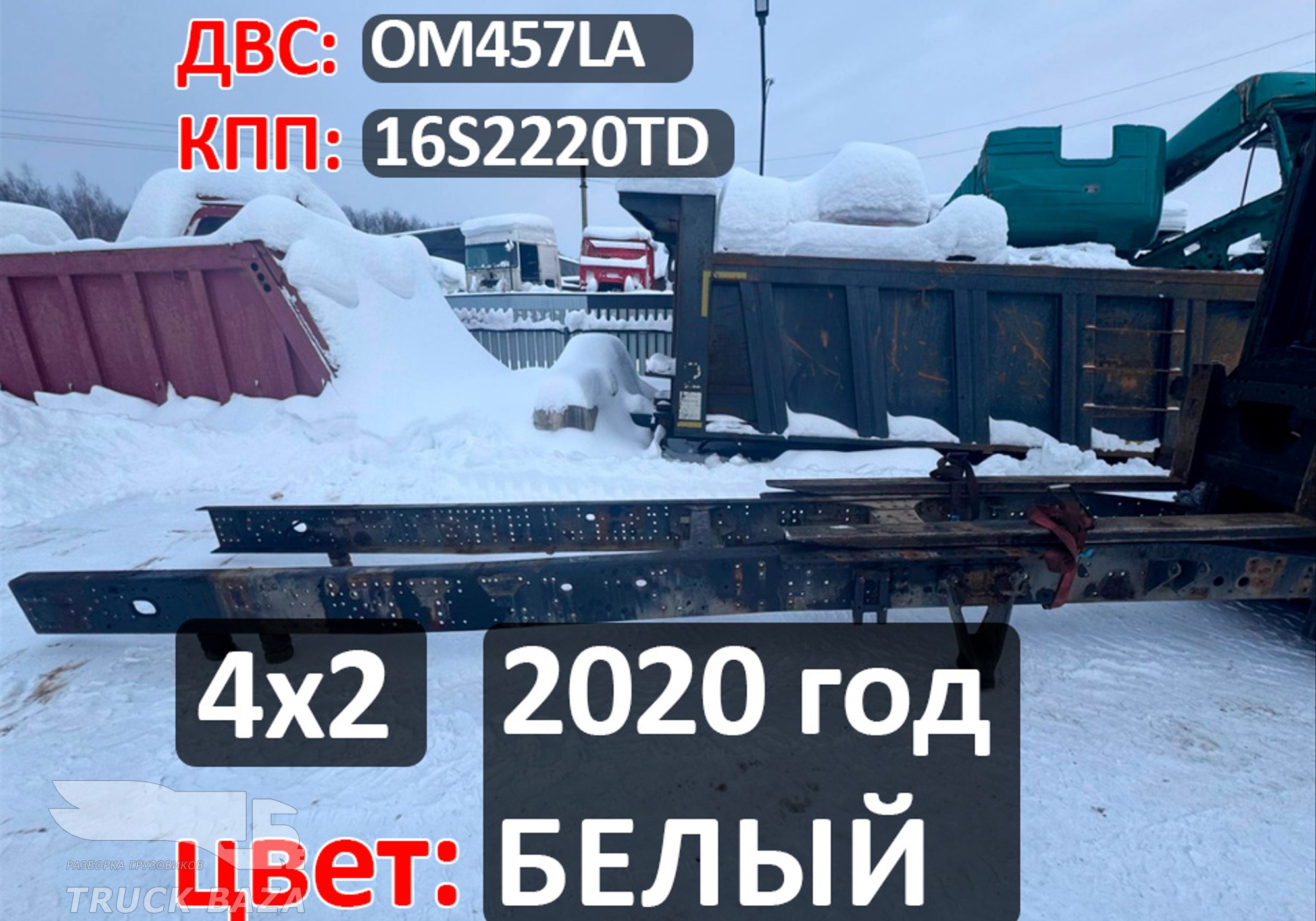 Рама с документами 2020 г. цвет Белый для КАМАЗ 5490 (с 2013)