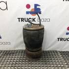 1697678 Подушка пневмоподвески задняя для Mercedes-Benz Actros