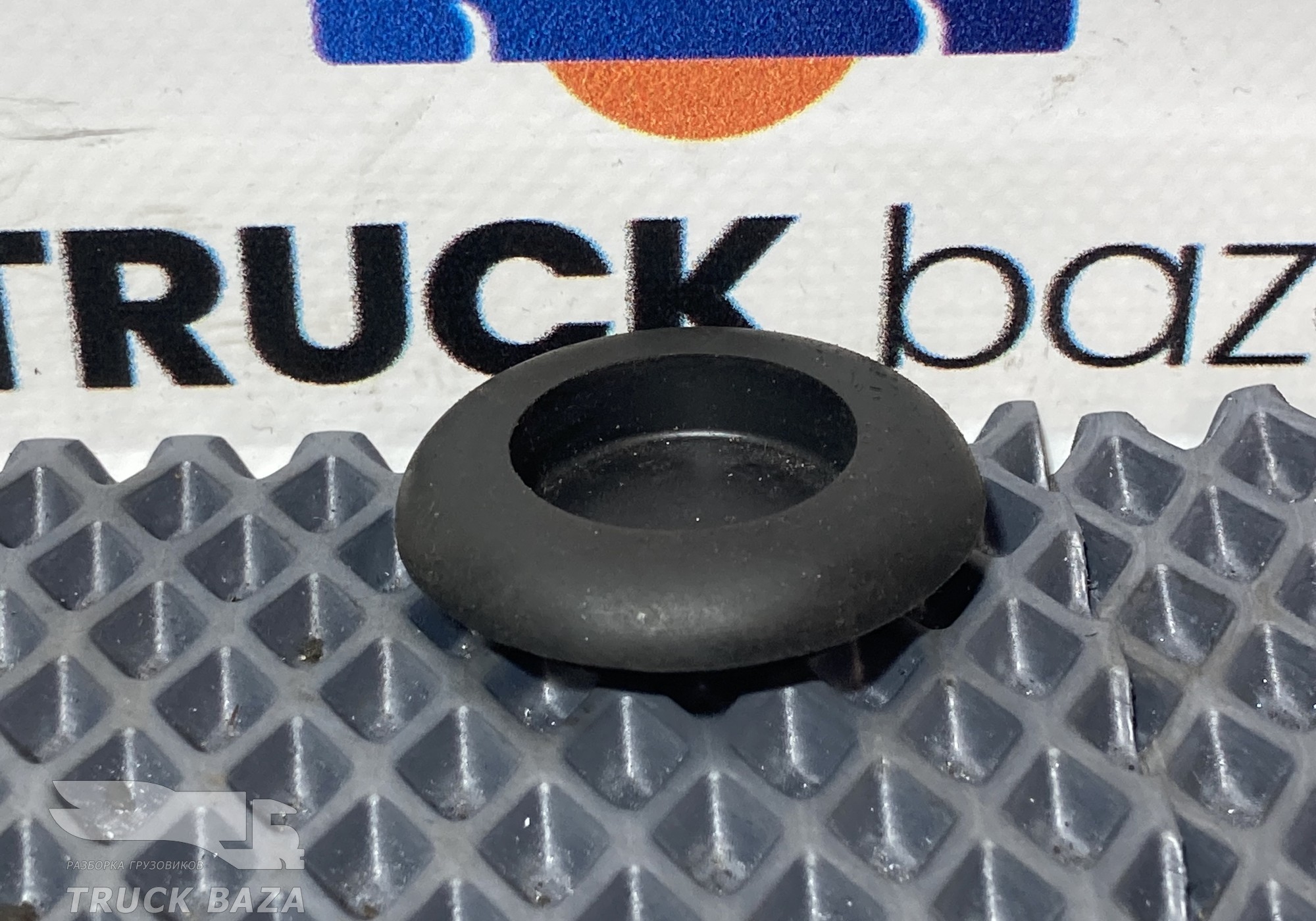 1825213 Заглушка двери для Scania 6-series R (с 2016)