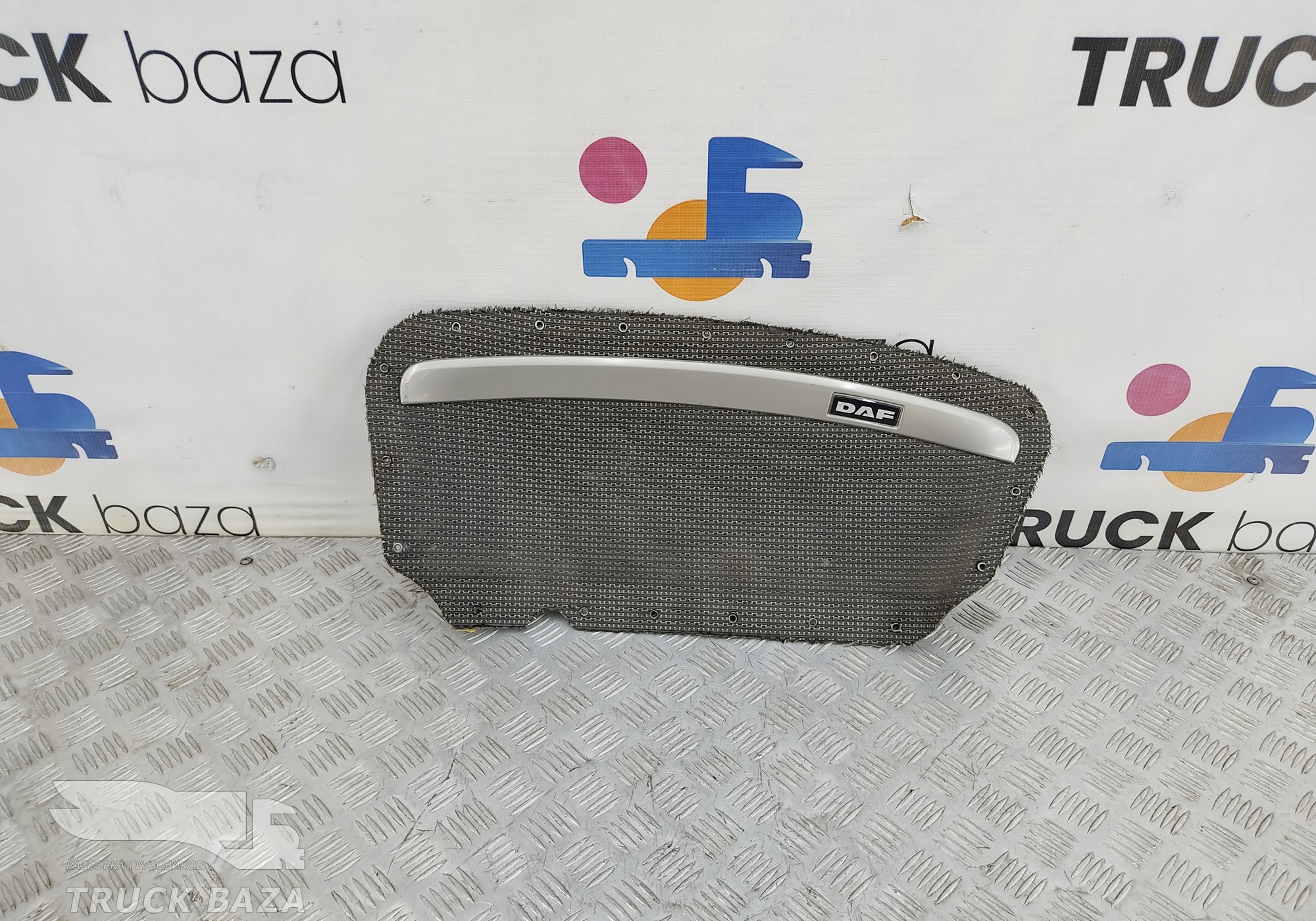 1665953 Накладка двери левая для Daf XF105 (с 2005)