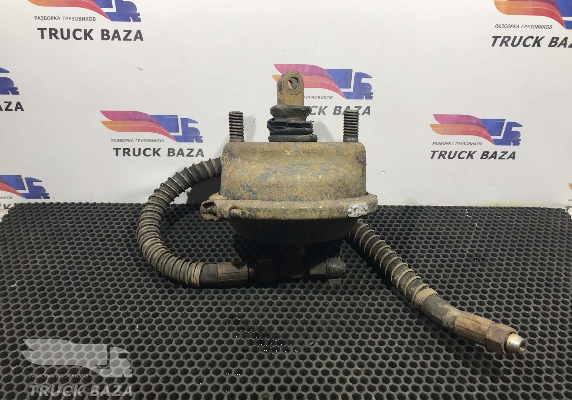 81511016331 Камера тормозная для Shaanxi Shacman