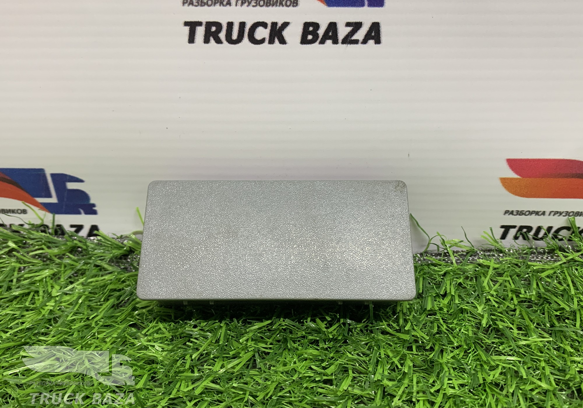 A9016894008 Накладка плафона