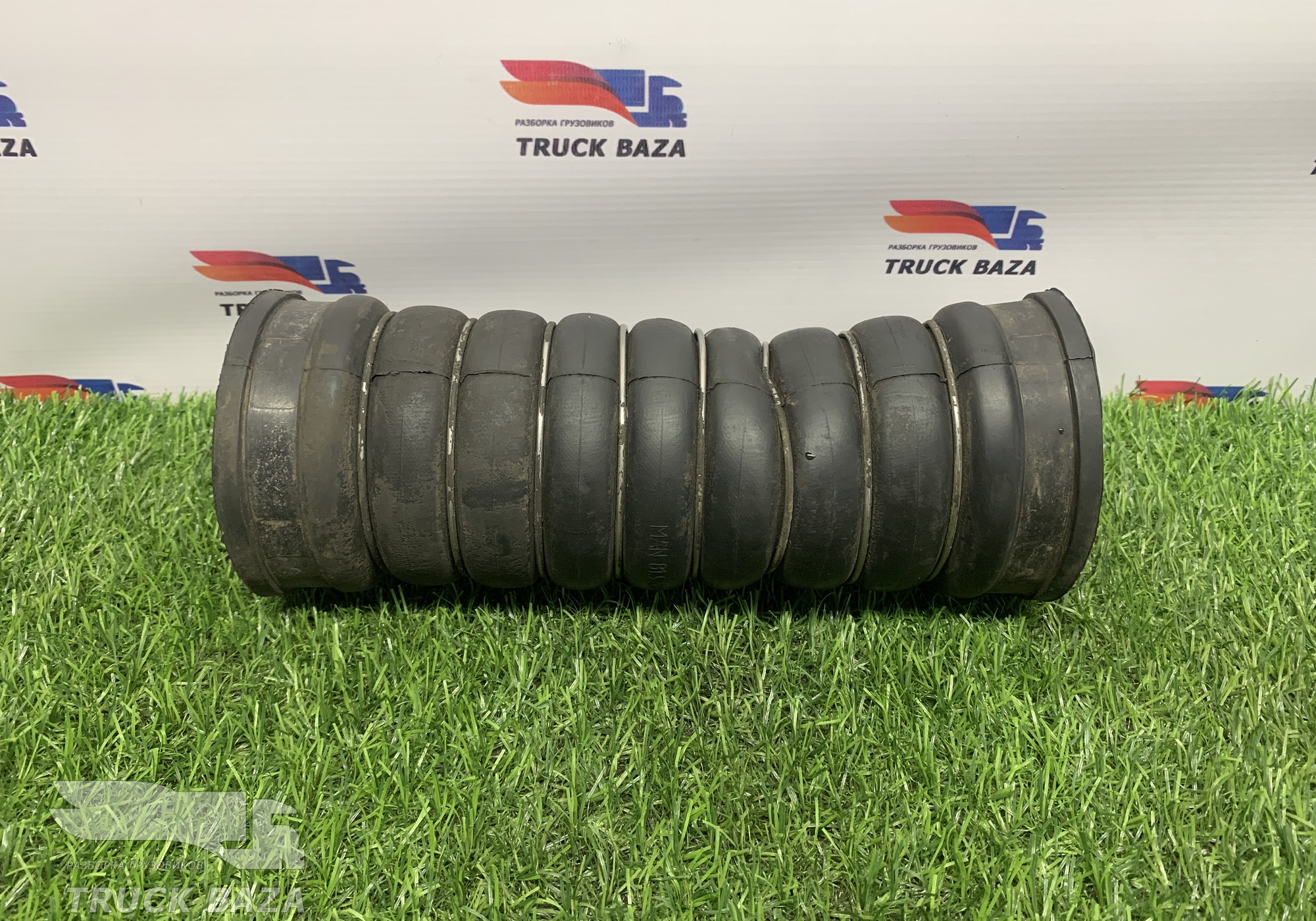 81963010901 Патрубок интеркулера для Man TGX