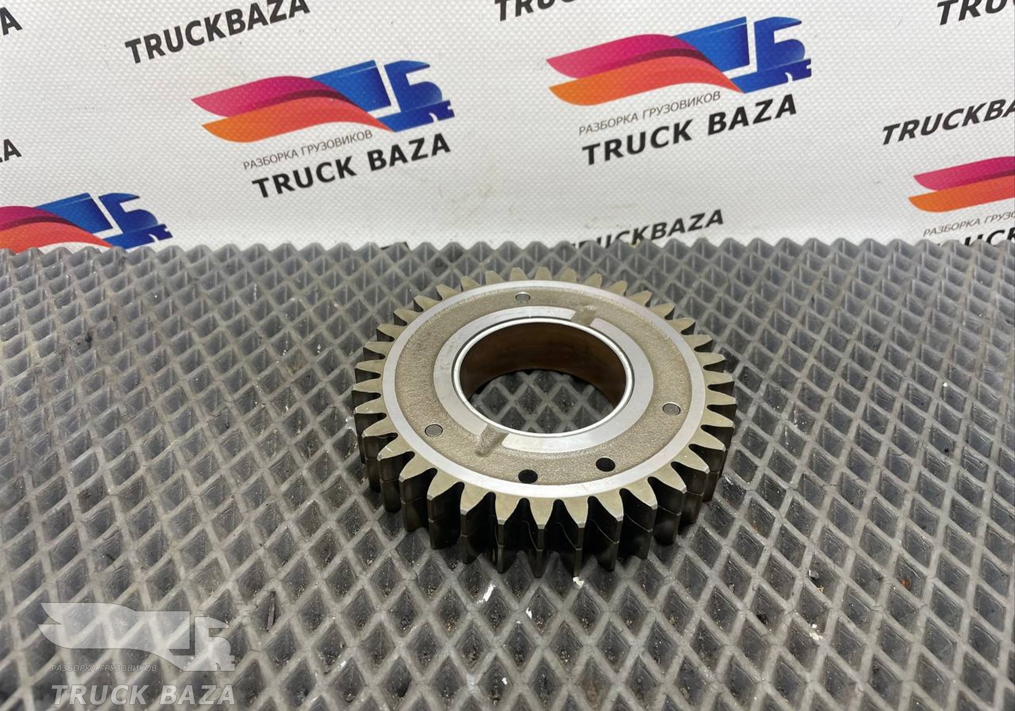 50336062667 Шестерня ГРМ промежуточная для Man TGX II (с 2012)