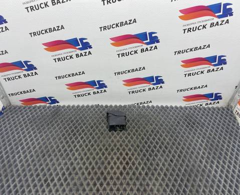 1604607 Кнопка противотуманных фар для Daf XF105 (с 2006 по 2020)