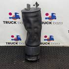 1903608 Подушка пневмоподвески задняя для Lexus ES V (с 2006 по 2012)