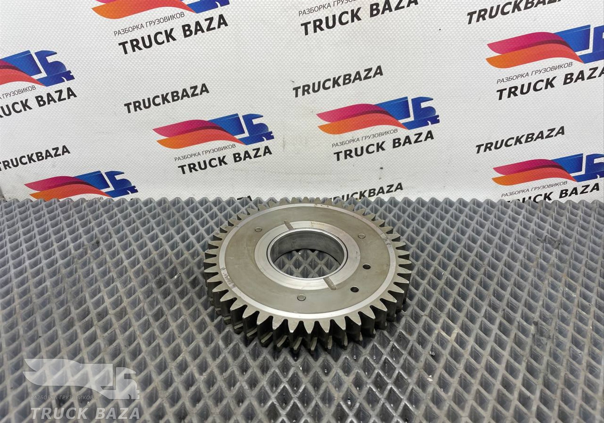 51113066007 Шестерня ГРМ для Man TGX TG3 (с 2020)