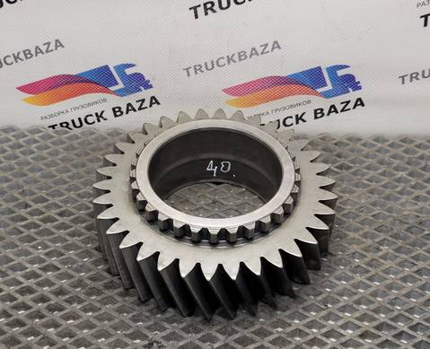 1316304066 Шестерня 3-й передачи КПП ZF для Man TGA