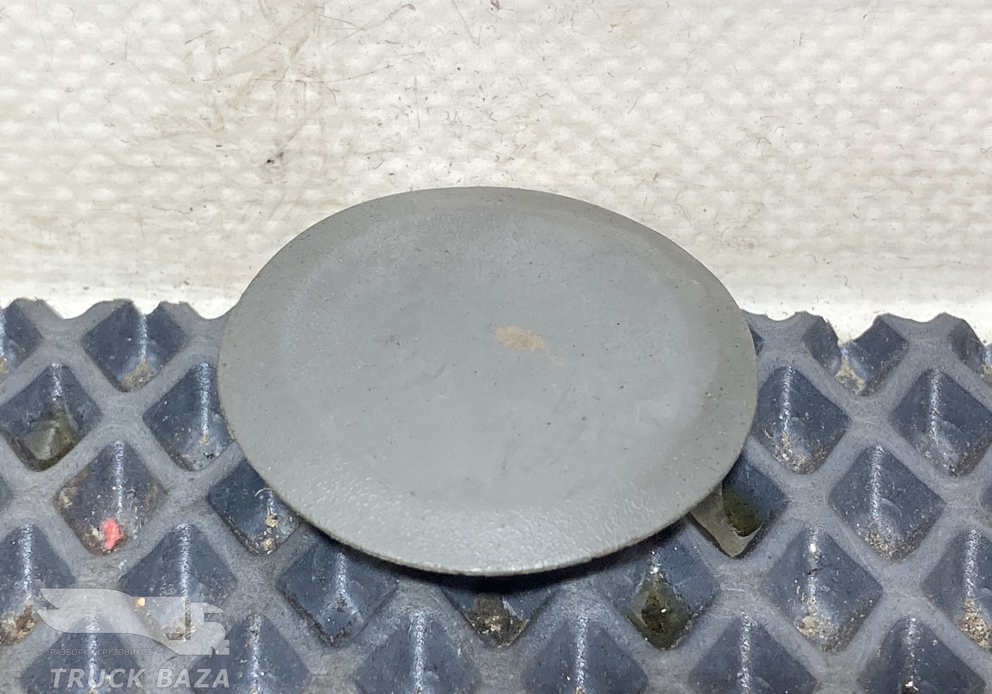 A9419970286 Заглушка корпуса подножки