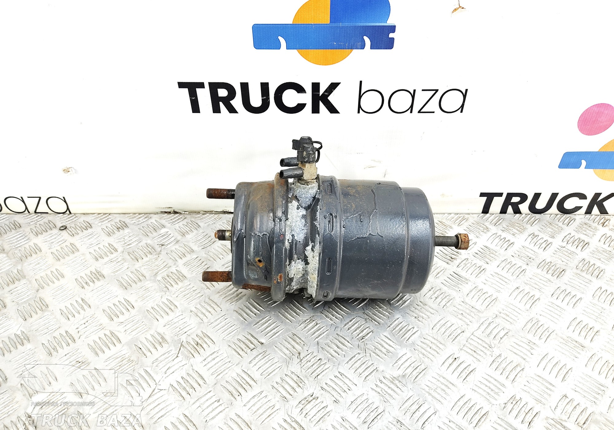 1686001 Энергоаккумулятор тормозной задний