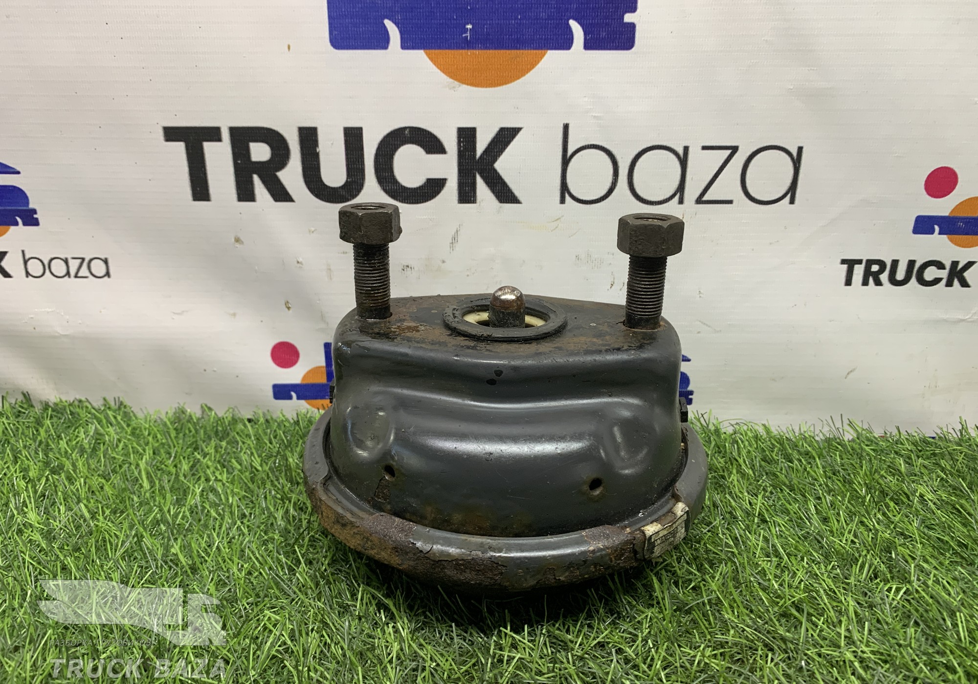 1948381 Камера тормозная передняя