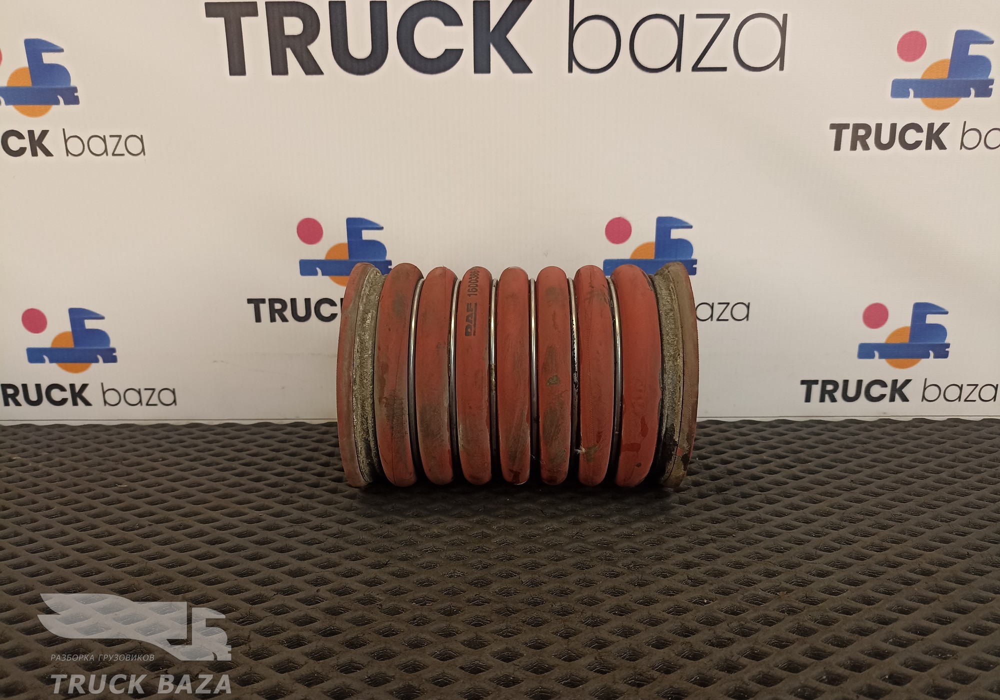 1600366 Патрубок интеркулера для Daf