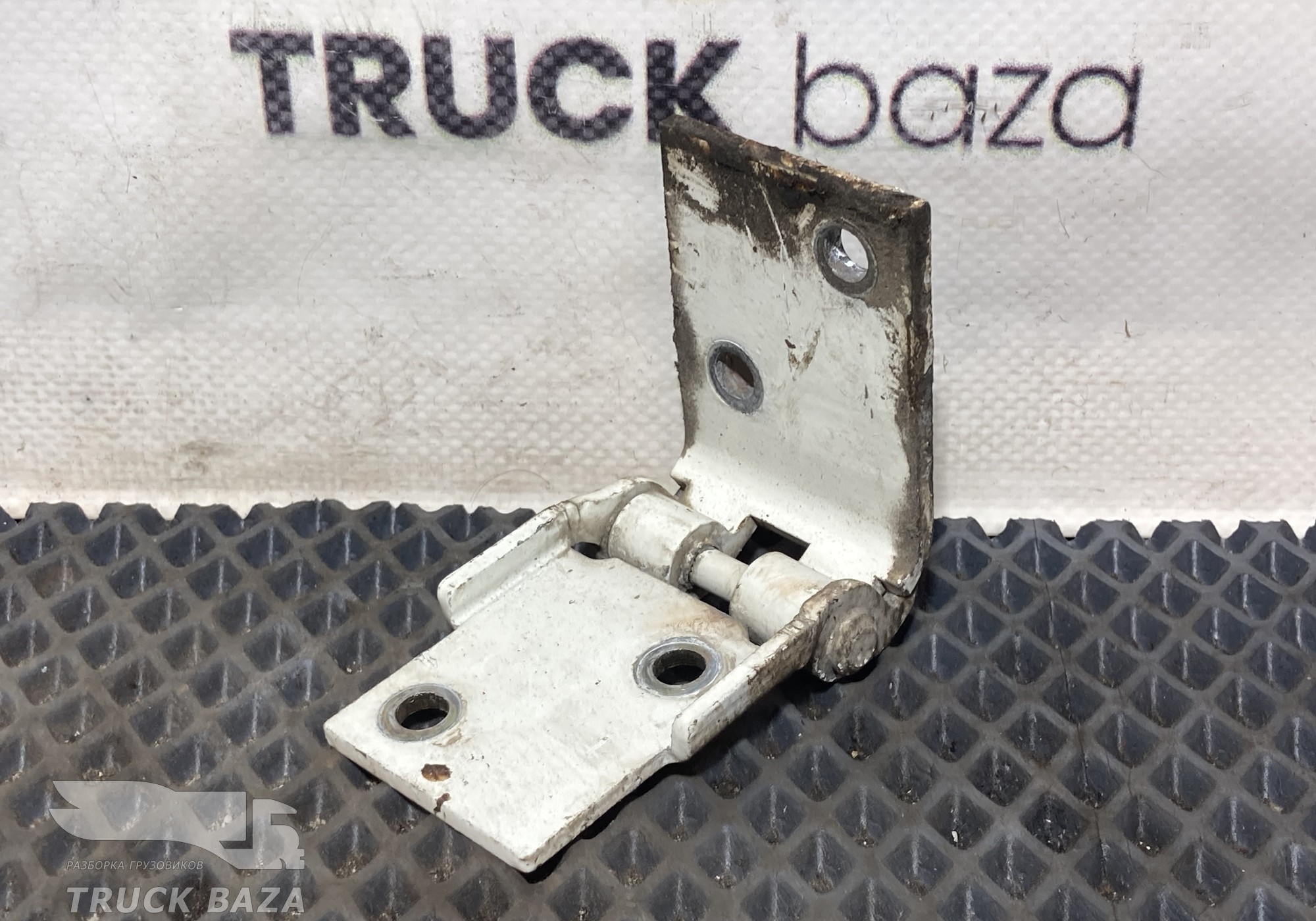 0673439 Петля инструментального ящика для Daf XF105 (с 2005)