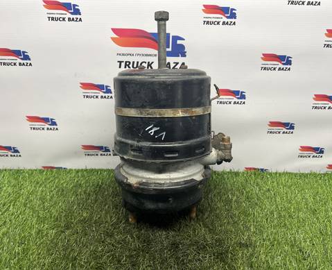 036025 Энергоаккумулятор тормозной для Renault