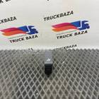 2141441 Кнопка внутреннего освещения для Daf XF106 (с 2012)