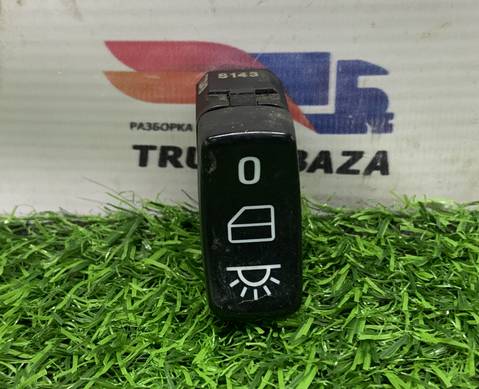 1733419 Кнопка освещения для Scania 5-series R (с 2004 по 2016)