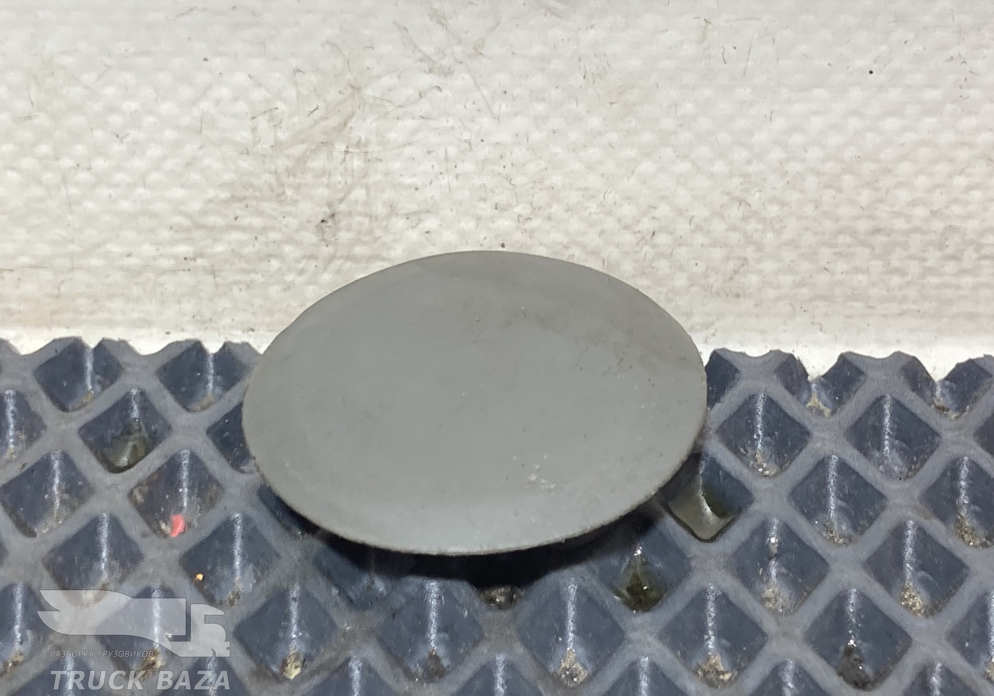 A9419970286 Заглушка корпуса подножки