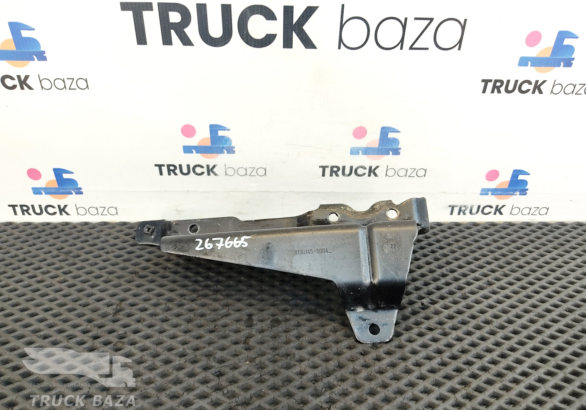 81611455004 Петля капота правая для Man TGL