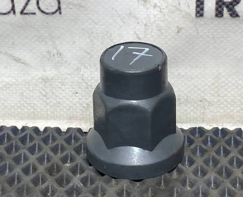 T901409 Колесный колпачок для КАМАЗ 5490 (с 2013)