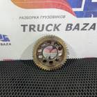 51021156060 Шестерня коленвала для Man F2000 I (с 1994 по 1998)