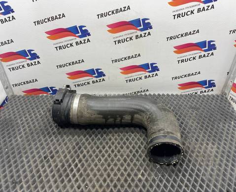 81963050565 Патрубок радиатора для Man TGX TG3 (с 2020)