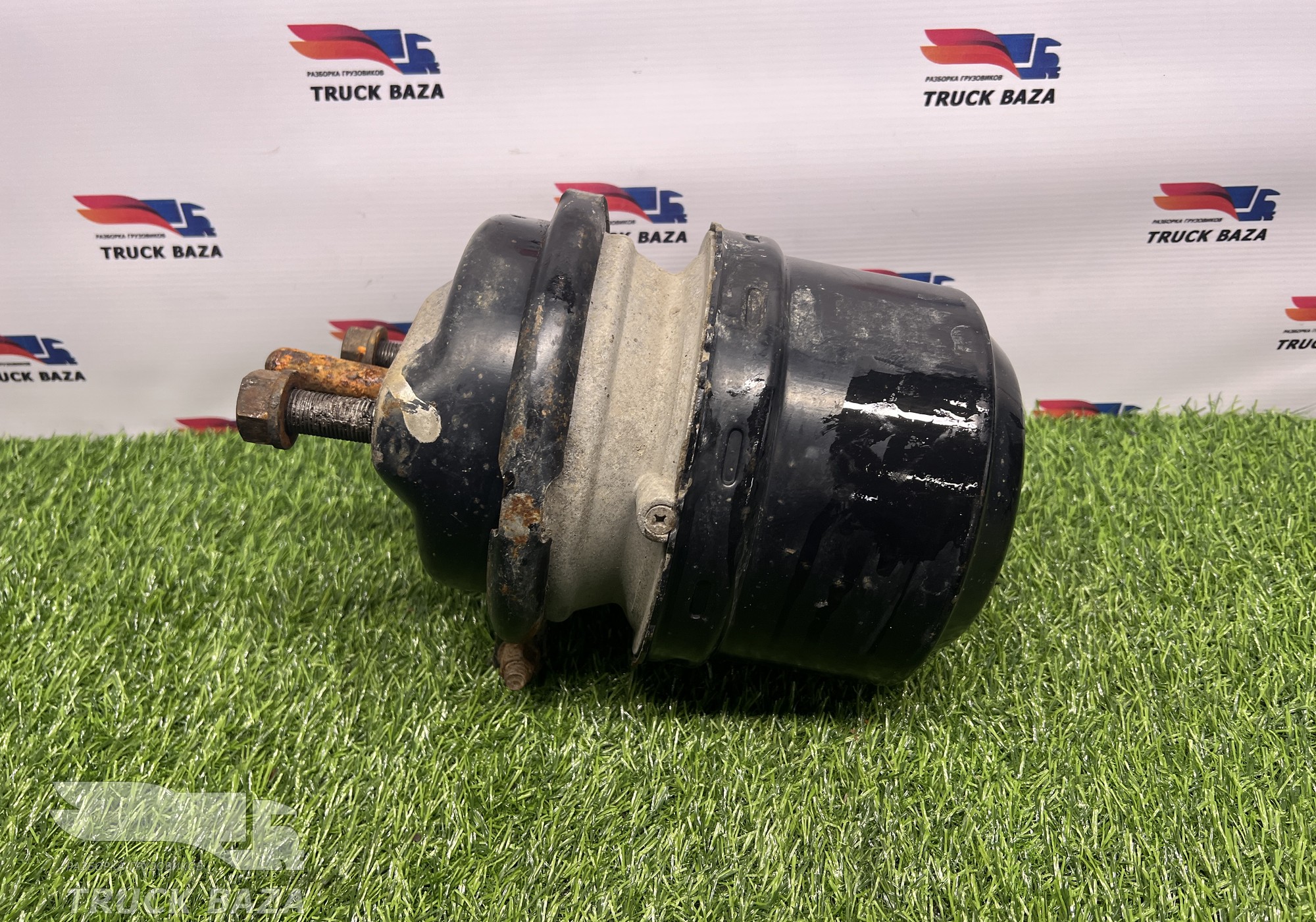 1686001 Энергоаккумулятор тормозной задний